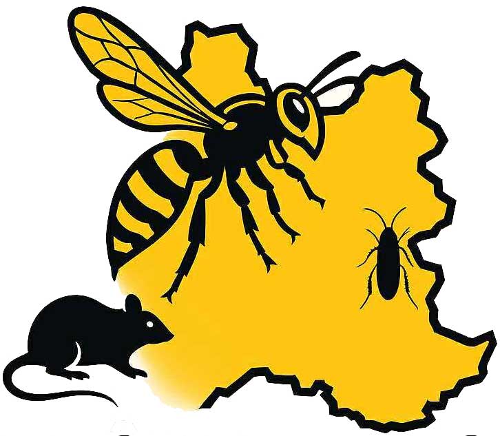 Logo Rhône-Alpes Guêpes 73